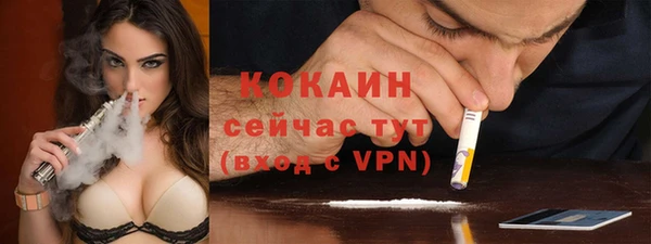 спиды Магас