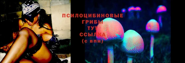 гидропоника Мегион
