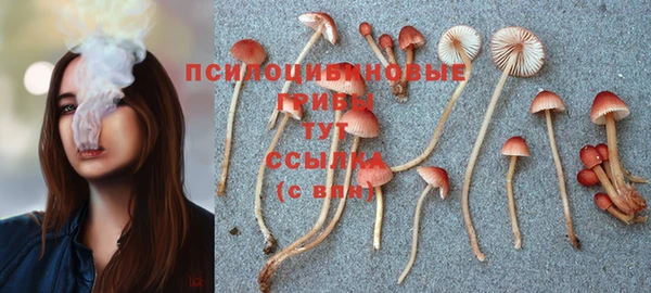 гидропоника Мегион
