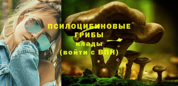 амфетамин Медвежьегорск