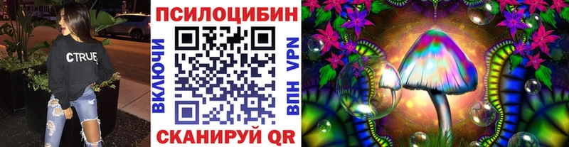 Псилоцибиновые грибы мухоморы  shop клад  Кондопога 
