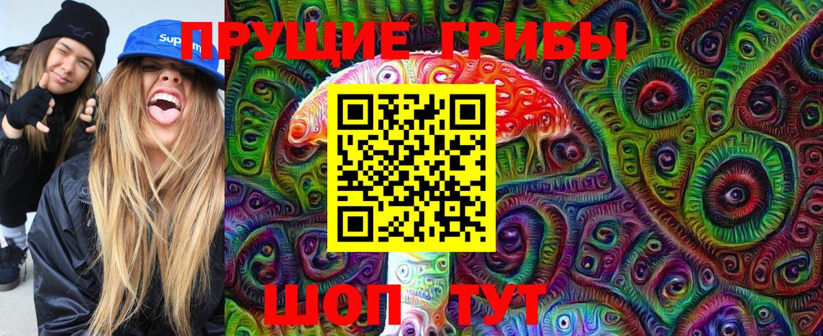 Галлюциногенные грибы Psilocybe Кондопога