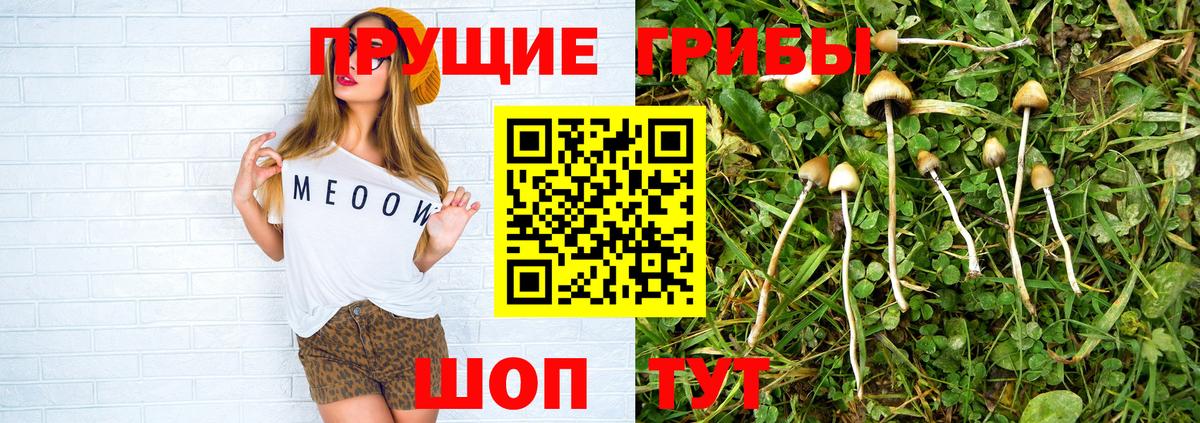 Псилоцибиновые грибы мухоморы  Кондопога  Псилоцибиновые грибы Magic Shrooms 