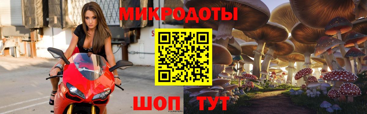 Псилоцибиновые грибы Psilocybe  Вход с VPN  Кондопога  Псилоцибиновые грибы GOLDEN TEACHER 